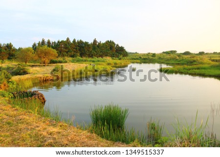 It is the scenery of "susan han pond " in Jeju.
