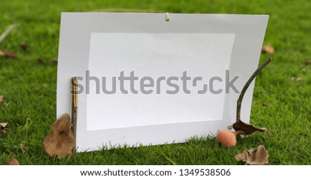 Photo frame standing on the grass with fruit and fig leaf scattering