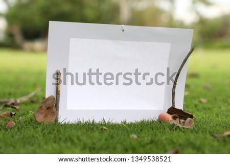 Photo frame standing on the grass with fruit and fig leaf scattering