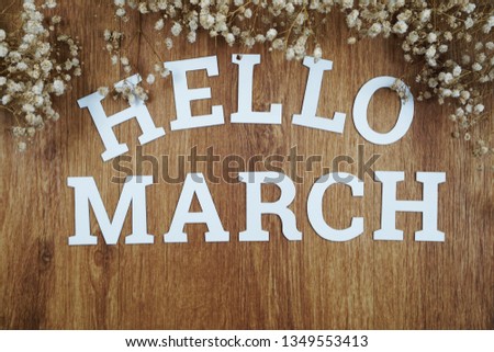 Hello March  alphabet letters with space copy and dried flower on wooden background