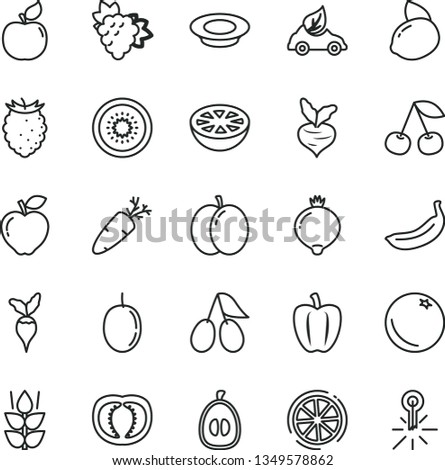 thin line vector icon set - a plate of milk vector, carrot, orange, mint, cherry, apple, branch grape, apricot, red, cornels, medlar, tasty raspberry, half loquat, passion fruit, yellow lemon, kiwi