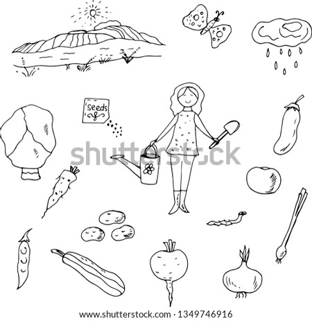 Painted vegetables, a girl-gardener, farm accessories and a picture with fields. Vector illustration.