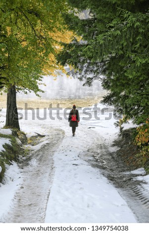 beautiful young girl walking in forest in running clothes standing on log .turkey