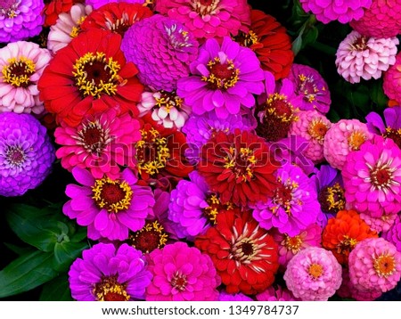 The picture is a bunch of flowers photographed from above. It can be a floral background for different occasions. Enjoy it.