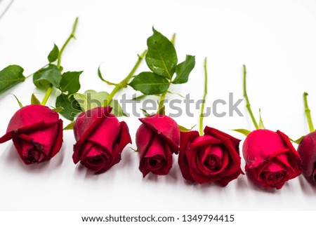 Set of five luxurious dark-red roses on a long stem with green leaves isolated on white background. Romantic Happy Valentines Day 
Greeting card, Wedding invitation, Women's day concept.Close up.