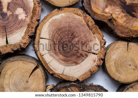 sawed cross section of a tree trunk showing growth rings, background for text, rough texture
