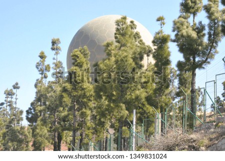 a globe among the plants