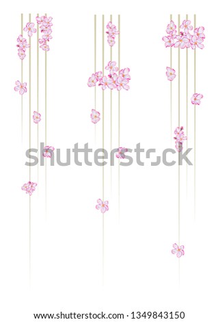 set of vector vertical dividers with flowers of apple tree, eps 10