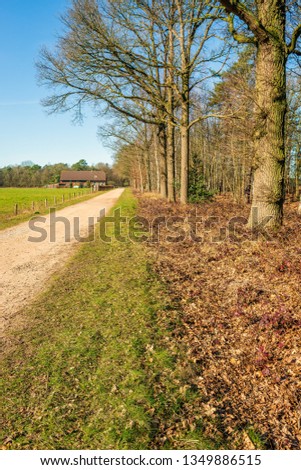 Vertical image of a farm at the end of a country road in the Netherlands. On one side of the road is a meadow with a fence and on the other is a forest. The photo was taken in the Mastbos, Breda.