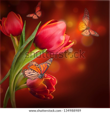 Bouquet of red tulips against a dark background and butterfly