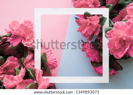Pink flowers of azalea with white frame on pink and blue background. Toned image. Empty place for inspirational, emotional, sentimental text, quote or sayings.