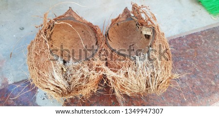 top view of coconuts.