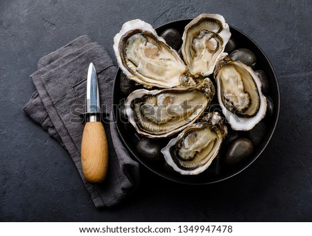Fresh Oysters with lemon and knife on stones on dark background Royalty-Free Stock Photo #1349947478
