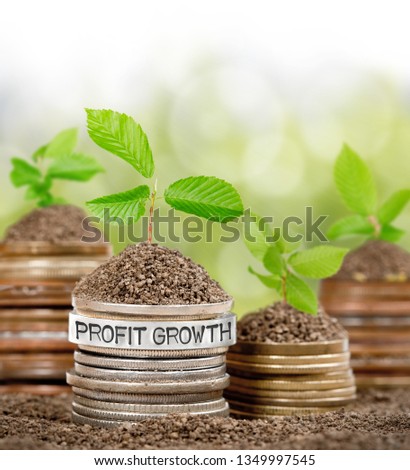 Photo of various stacks and rows of coins with Profit Growth concept word imprinted on metal surface