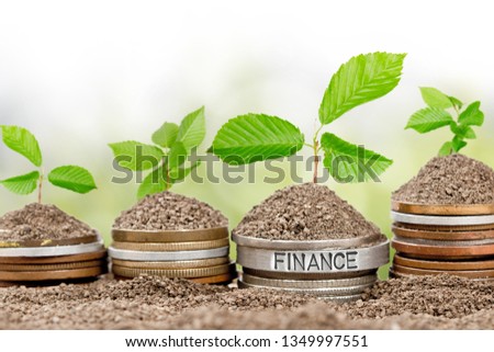 Photo of coin rows and plants growing from soil with Finance and Economy concept words imprinted on metal surface