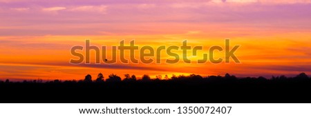 Amazing sunset and sunrise.Panorama silhouette tree in africa with sunset.Tree silhouetted against a setting sun.Dark tree on open field dramatic sunrise.Safari theme.African Lion.
Dark night.
