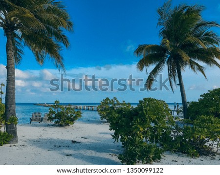 beautiful tropical Maldives island with white sandy beach and sea