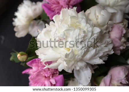 Peonies bouquet on black background