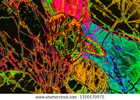 Bright multi-color, abstract micrograph of the mineral olivine pyroxenite, viewed with a polarizing microscope at 100x and digitally manipulated in post-processing.