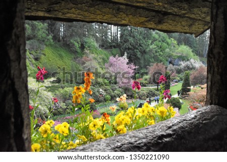 Picture window of the garden