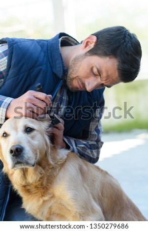 professional veterinarians examining dogs ears