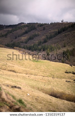 Dry yellow grass landscape with an oak tree in the distant view and mountains of conifers in spring, on a cloudy and bright afternoon, on Dead Indian Memorial Road road side, Ashland, Oregon, USA