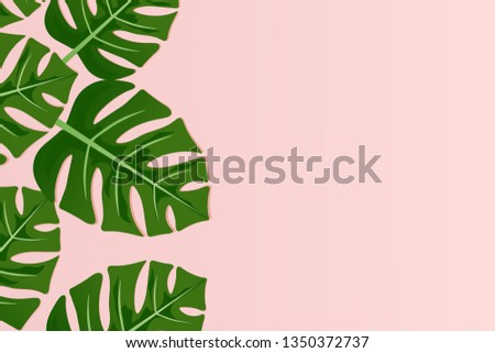 Tropical leaves Monstera on pink background. Tropical leaves of palm tree. Vector big green leaves of tropical.Vector illustration.