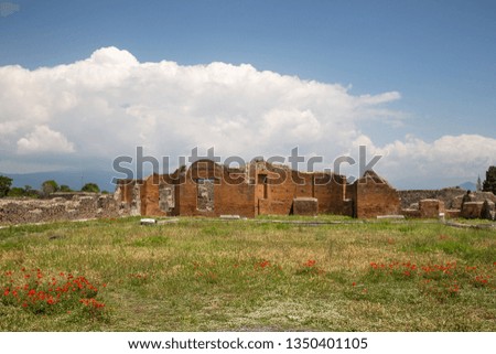 Building of the priestess Eumachia at Pompeii Archeological Park. Poppy flowers in the foreground. Province of Naples, Campania, Italy.
