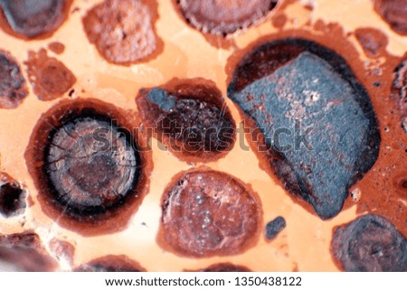 Macro photography of a natural sample of mineral rock-rough red bauxite stone. Beautiful texture of the stone.