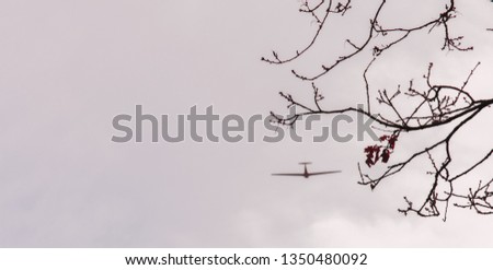 An airplane among beautiful tree branches with a few remaining leaves with a grim sky as a background.