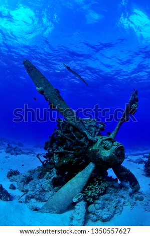 sunken ship and aircraft in saipan Royalty-Free Stock Photo #1350557627