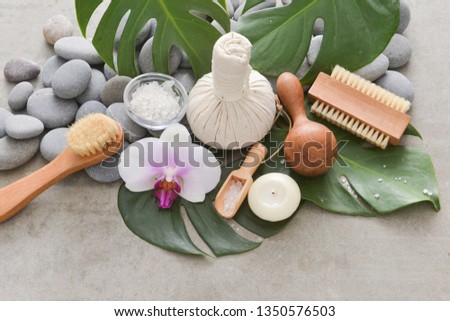 spa composition with monstera leaves ,salt in bowl, spoon, candle , orchid ,wooden, wooden ball,herbal,ball , brush, pile of gray stones
