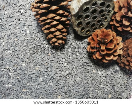 Dried lotus seeds and pine cone on gray cobblestone background