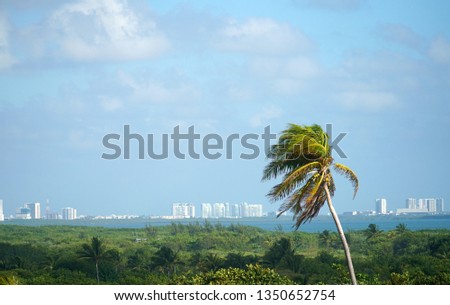 landscape of green tropical forest and city background