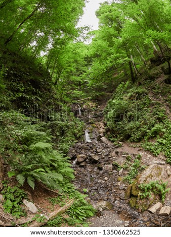 Powerful stream in summer forest. Waterfall in the forest. Mountains in the summer.