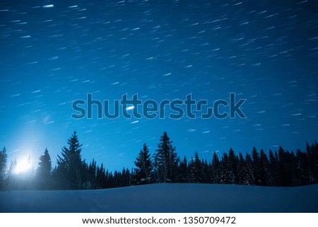 Starry sky in the background of fir trees. Moon rise. Leave traces in the form of lines