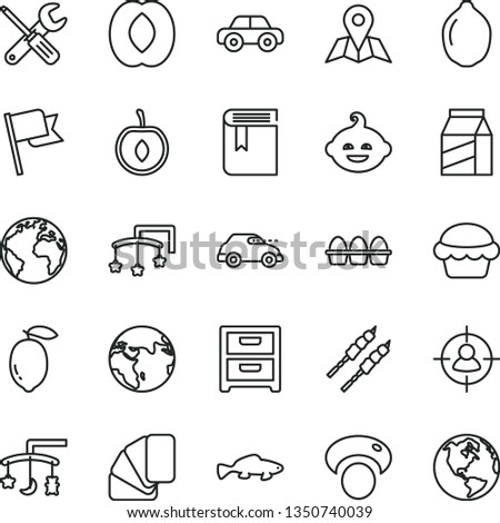 thin line vector icon set - sign of the planet vector, book, toys over cradle, cot, motor vehicle, funny hairdo, small tools, sample colour, map, flag, nightstand, package, bundle eggs, cake, fish