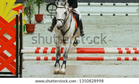 Horse horizontal banner for website header, poster, wallpaper. Rider in uniform perfoming jump at show jumping competition. Riding hall and obstacle as a background.