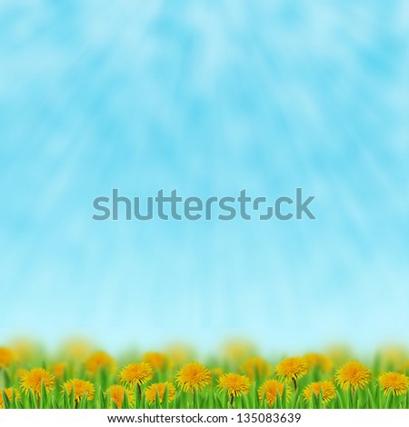 Dandelions in the grass on the sky background Royalty-Free Stock Photo #135083639