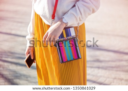 Fashion Concept Leather Colorful Striped Retro Design Women Hand Bag Close Up 