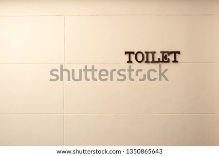 Toilet word made from rustic metal hanging on white wall with copy space