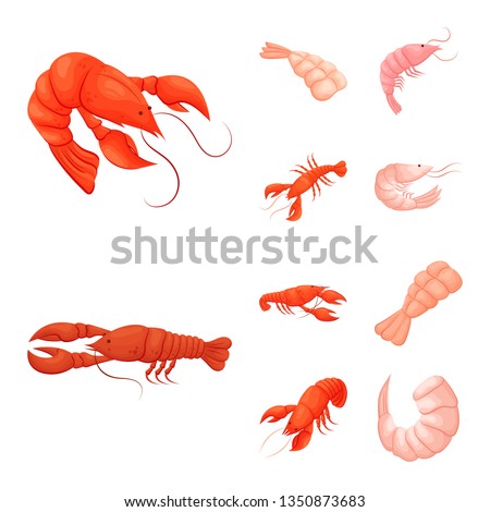 Vector design of shrimp and crab symbol. Set of shrimp and sea vector icon for stock.