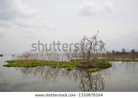Lake Naivasha in Kenya