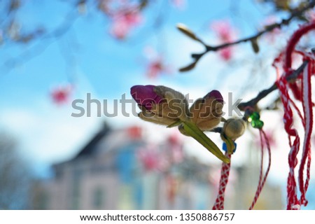 Traditional Balkan Martenitsa spring decoration on magnolia tree