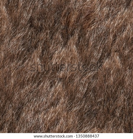 Seamless texture of animal fur 