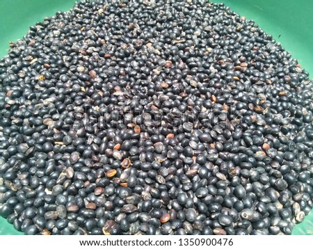 black soybean seeds