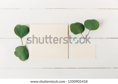 Creative and stylish mockup with green leaves.Blank envelope and business card.Minimalist flat lay,white wooden background.Template for design.