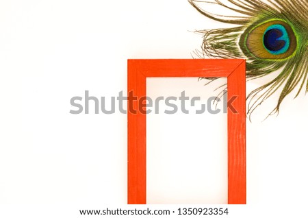 Red empty frame on white background with peacock feather