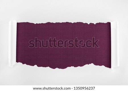 ripped white textured paper with curl edges on purple striped background 