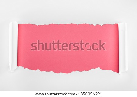 ripped white textured paper with curl edges on pink background 